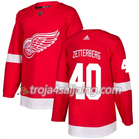 Detroit Red Wings tröja Henrik Zetterberg 40 Röd 2017-2018 Adidas Authentic - NHL Tröjor Herr Detroit Red Wings tröja Henrik Zetterberg 40 Röd 2017-2018 Adidas Authentic - NHL Tröjor Herr